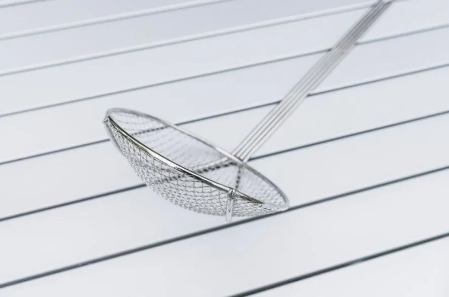 Long Handled Skimmer